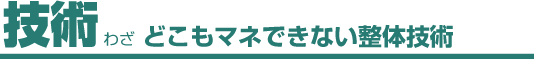 技術/どこにもマネできない整体技術